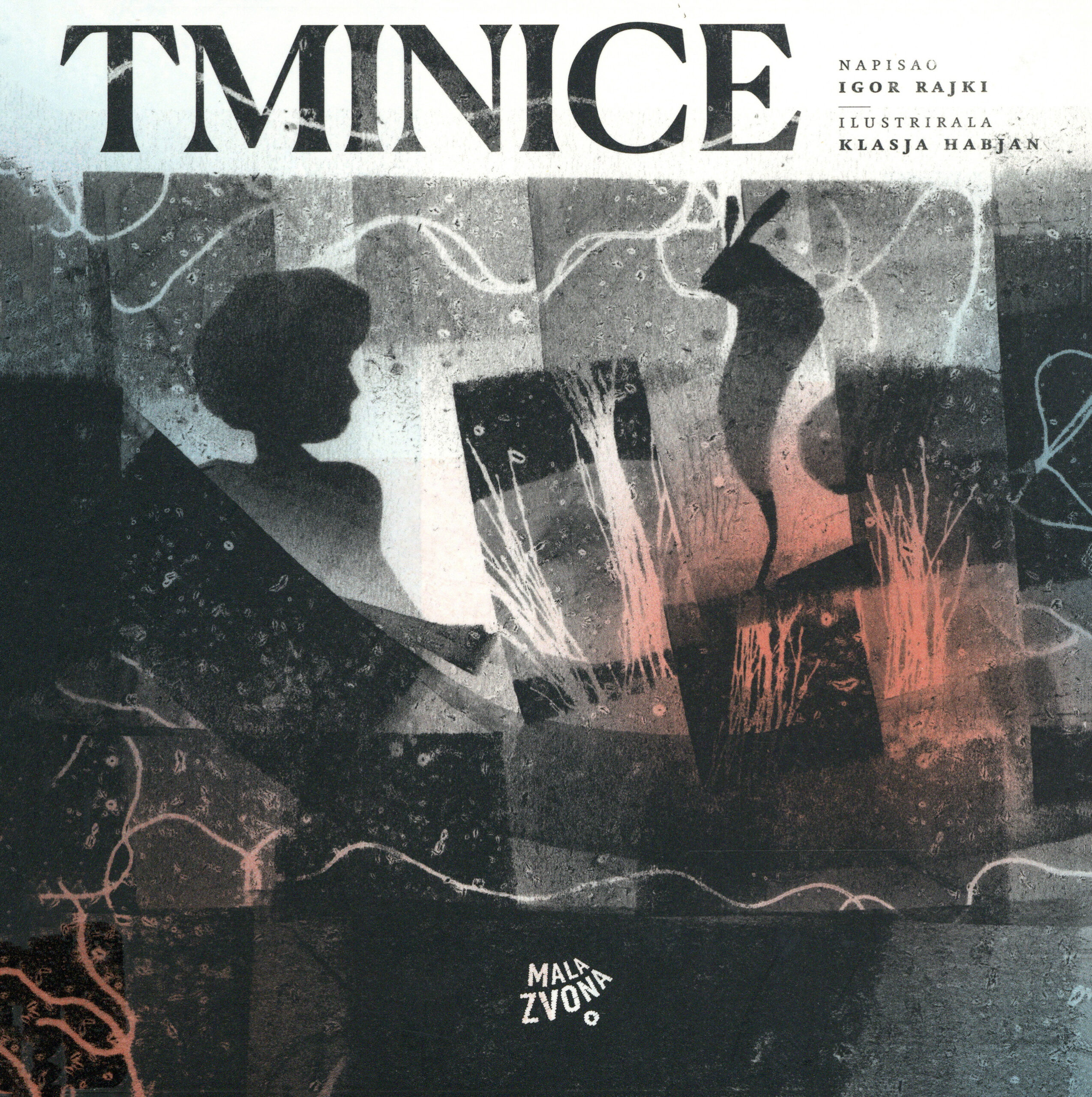 Tminice (Dunkelteilchen) Book Cover