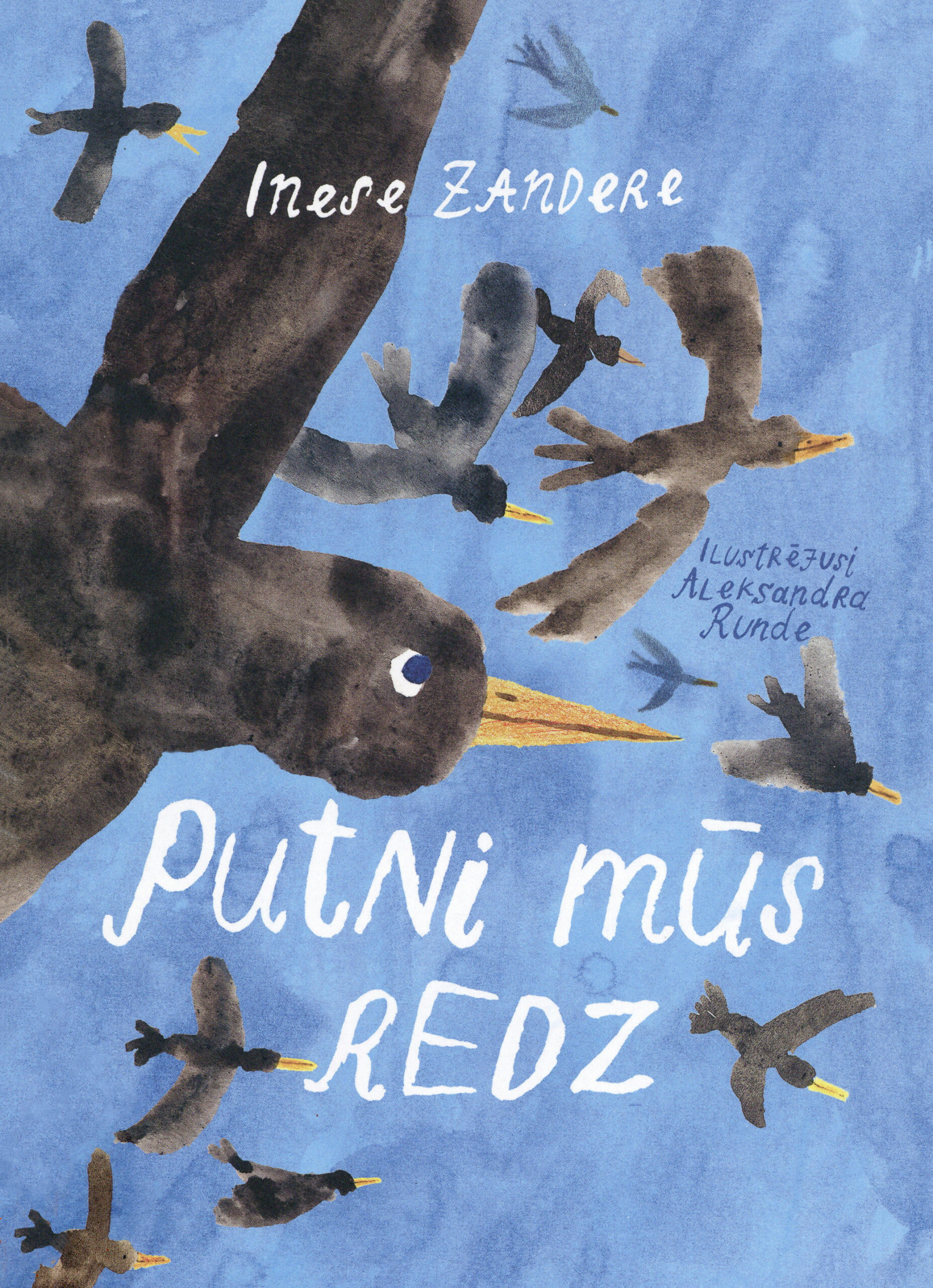 Putni mūs redz (Die Vögel beobachten uns) Book Cover